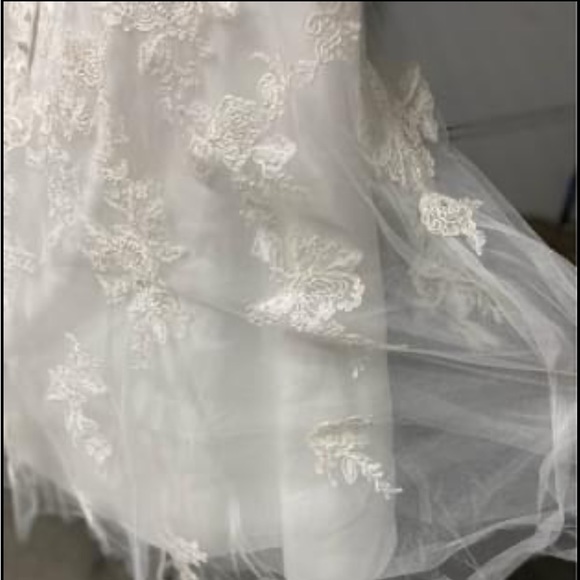 HOST PICK: Tea Length Plus Size Wedding Dress - Picture 6 of 8